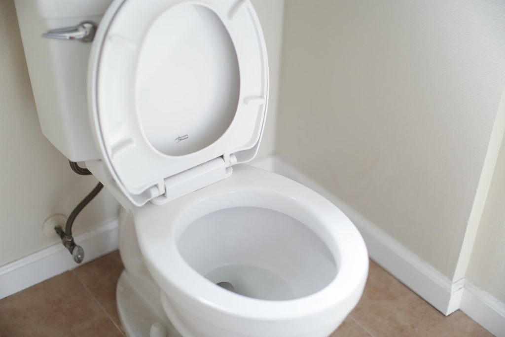 How to Avoid Clogging A Toilet, Toilet Keeps Clogging, Clogged