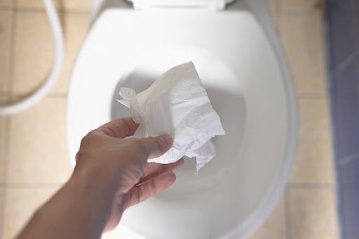 http://www.reelpaper.com/cdn/shop/articles/can-you-flush-tissues-down-the-toilet-the-reel-talk-385280_1024x1024.jpg?v=1701927601