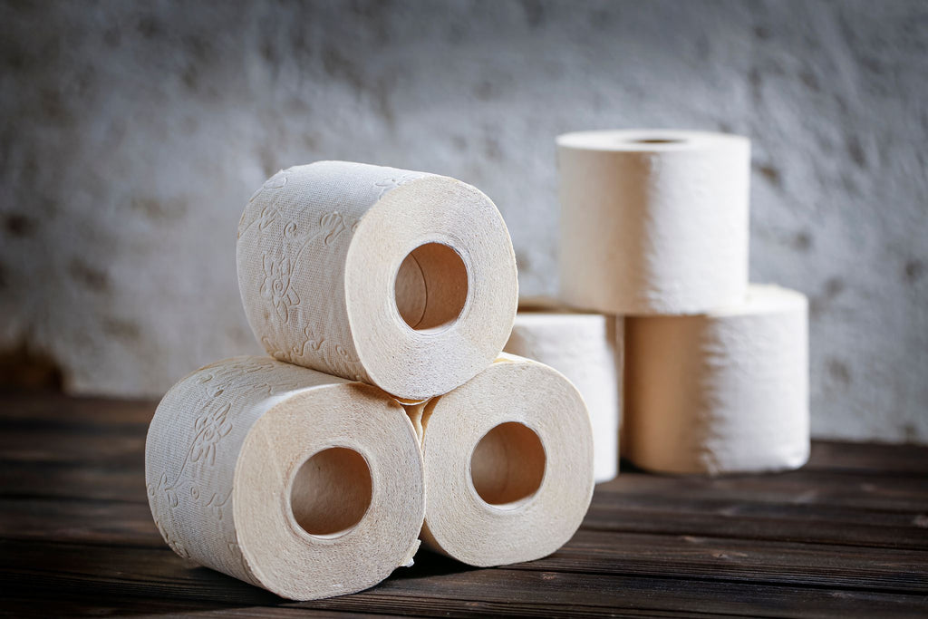 https://www.reelpaper.com/cdn/shop/articles/bamboo-or-recycled-toilet-paper-which-is-better-reel-talk-939547_1024x1024.jpg?v=1648222779
