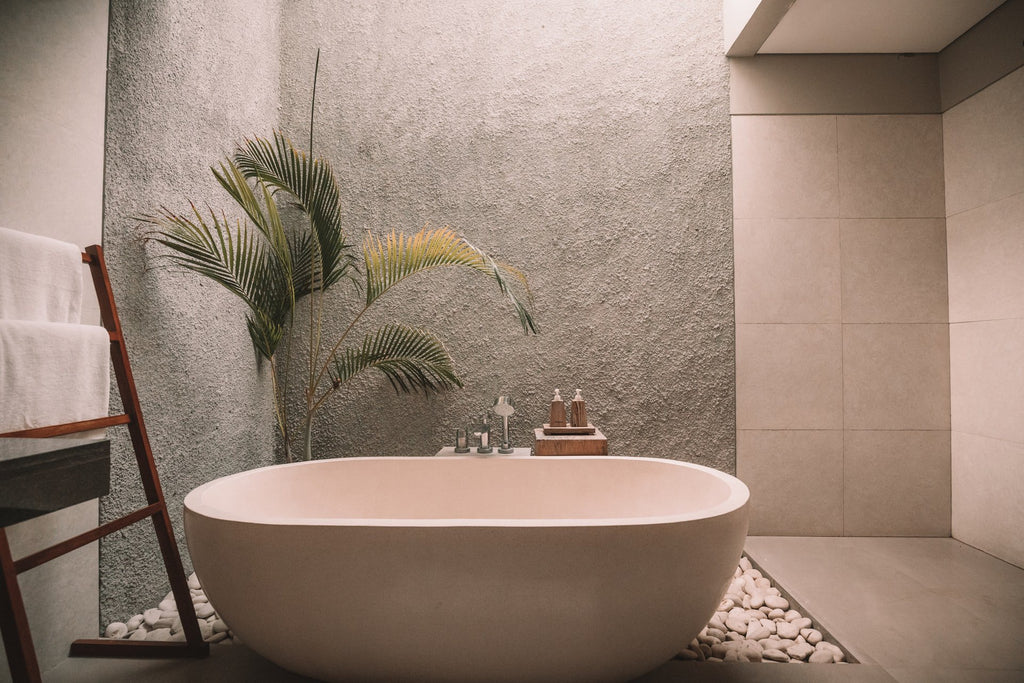Bathroom Plants: 7 Pieces of the Greenest Moisture-Loving Décor Around