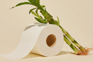 Does Bamboo Toilet Paper Have PFAS?