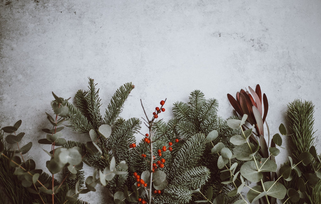 Dreaming of a Green Christmas? Holiday Decor Ideas Made with Sustainable Materials