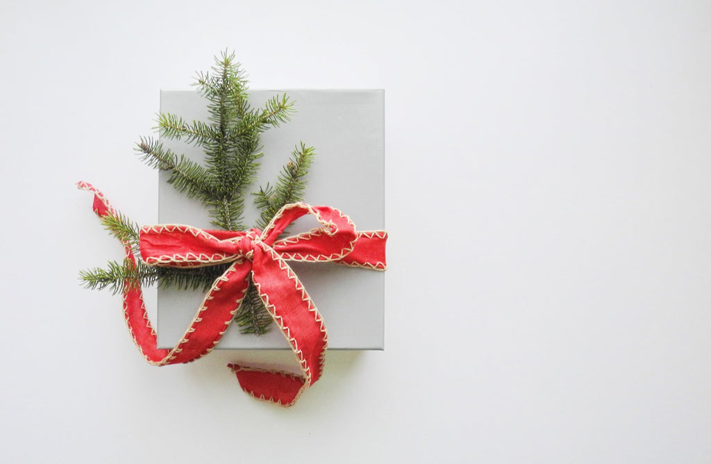Gifts for Environmentalists: A Sustainable Holiday Shopping Guide