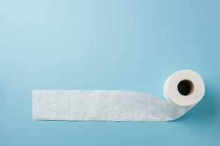 How Long is a Toilet Paper Roll?