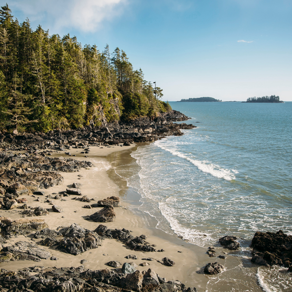 Photo of a rocky beach surrounded by trees