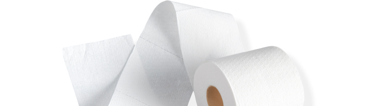Reel Paper Towels- 12 Rolls, 2-Ply, 100% Recycled Paper - InstaGrandma's  Kitchen