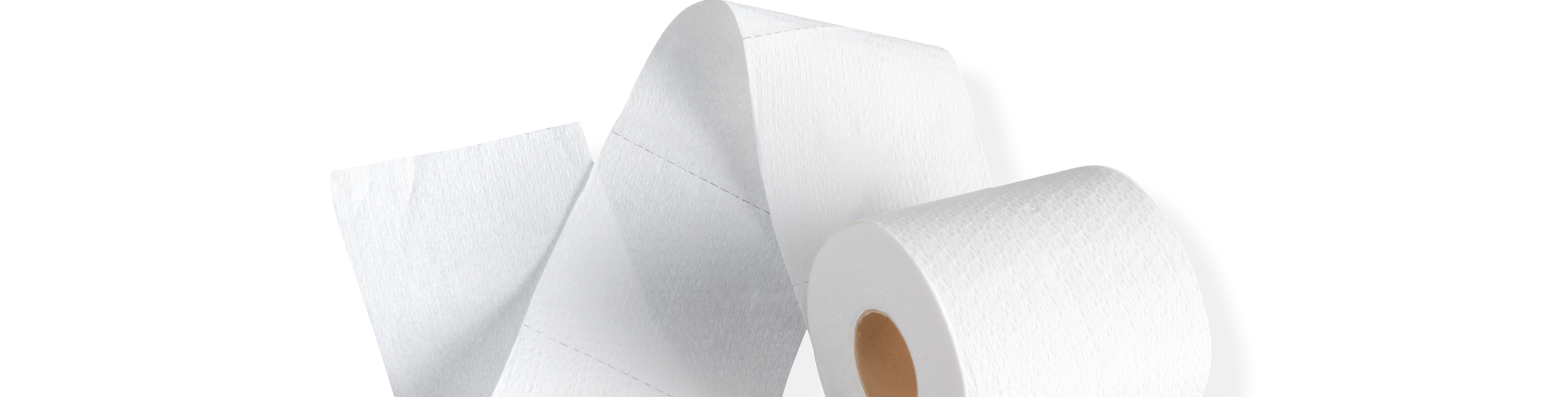 12 Reasons You'll Love Reel Toilet Paper