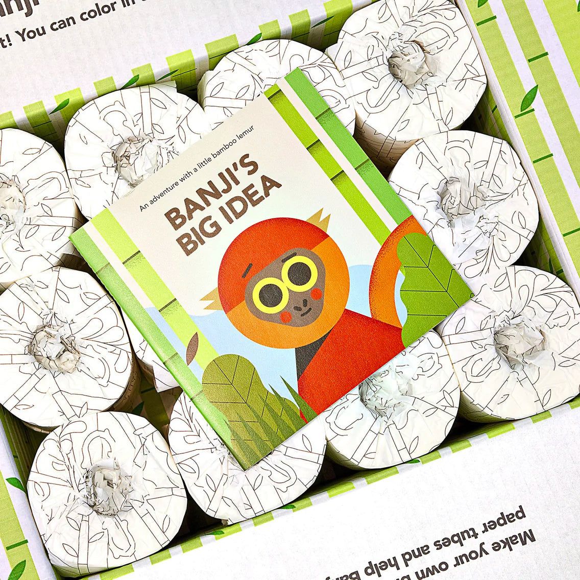 Banji's Big Idea storybook sitting on an open box of Reel recycled toilet paper wrapped in custom Little Lemur Kit paper