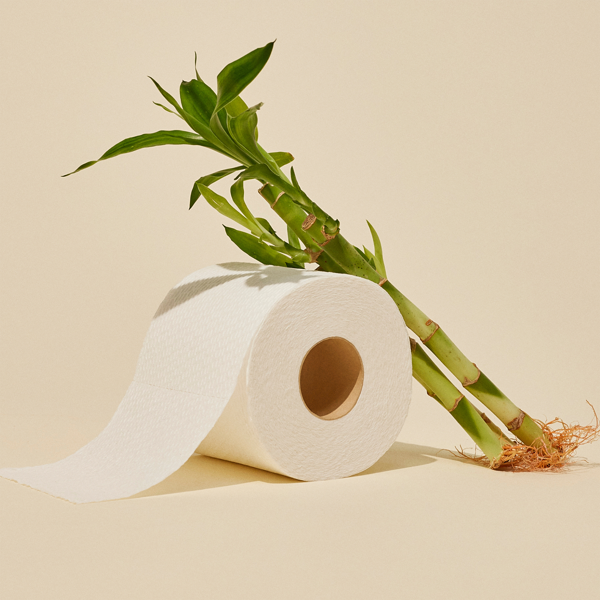 Greencane Paper - Papier Toilette